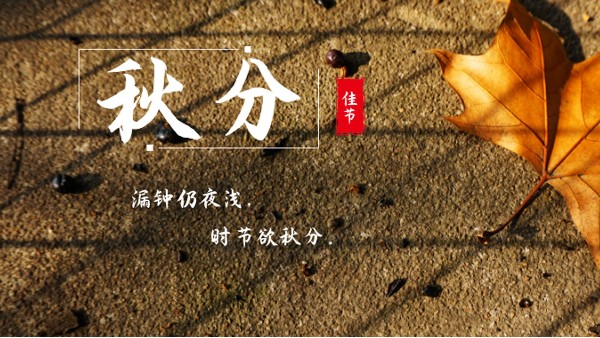 樓上樓門窗 | 白露秋分夜,一夜冷一夜，高端門窗安排上！